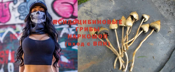 мескалин Коряжма
