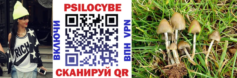 Галлюциногенные грибы MAGIC MUSHROOMS  цена   Кунгур 