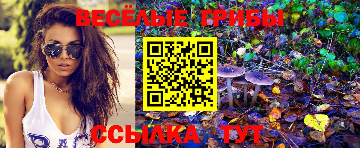 Псилоцибиновые грибы ЛСД Кунгур